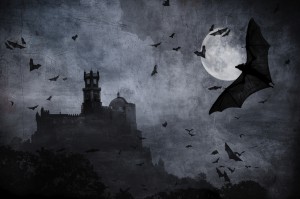 Data Horror Stories